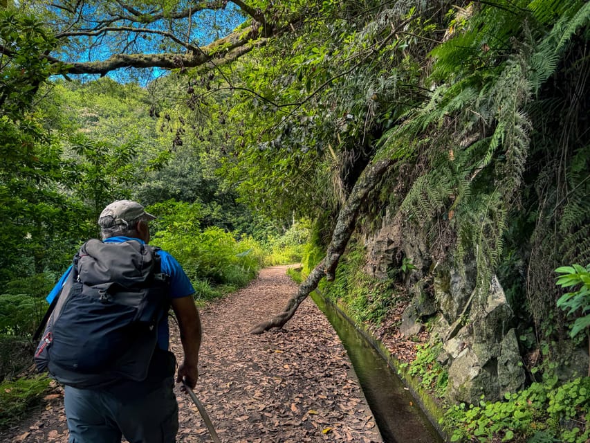 Hiking Madeira: Levada do Rei and the Majestic Laurissilva - Key takeaways before you go