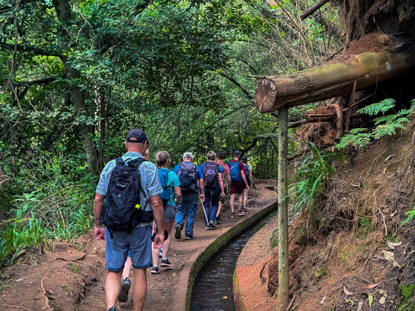 Hiking Madeira: Levada do Rei and the Majestic Laurissilva - The waterfall and Ribeiro Bonito: your quiet turnaround point