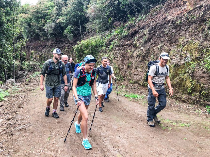 Hiking Trip with a Local - How this Madeira hiking day actually works