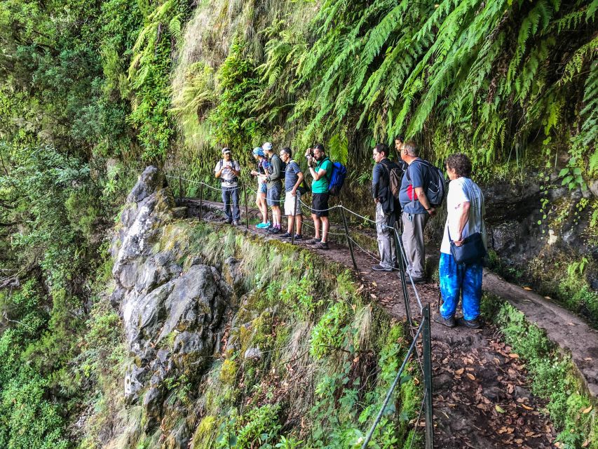 Hiking Trip with a Local - The real star: Laurissilva forest (and why guided matters)