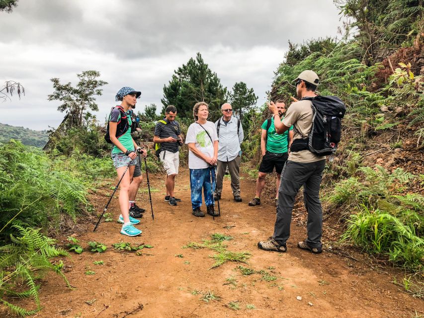 Hiking Trip with a Local - Who this tour fits best (and who should skip it)