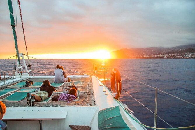 Hop-on Hop-off Bus Tour and Catamaran Whale & Dolphin Watching - Key Points Worth Knowing Before You Go