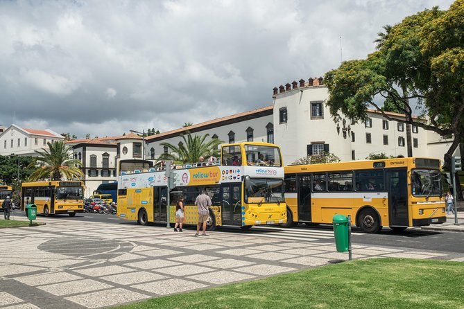Hop-on Hop-off Bus Tour and Catamaran Whale & Dolphin Watching - Madeira Wine and Bordal Embroidery: The Included Stops That Matter