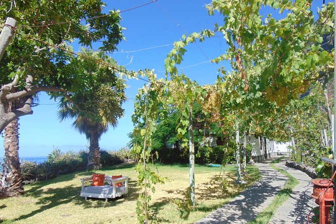 Incredible tour to a 'Faja' with a story - Restaurant terrace lunch: optional, but worth thinking through
