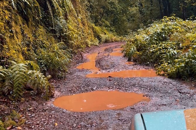Jeep Safari 4x4 Madeira Pico areeiro, Santana, Ponta Sao Lourenço - The off-road thrill: weather decides the PR11 viewpoints