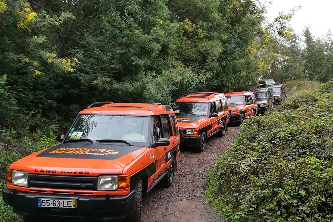 Jeep Safari Câmara de Lobos Cabo Girão Half Day Tour - Group size, language, and comfort on steep roads