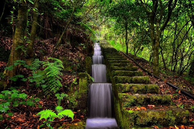 Jeep Safari in Pico Areeiro Santana Faial Full Day Tour - São Jorge lunch stop: a classic village break with optional cost