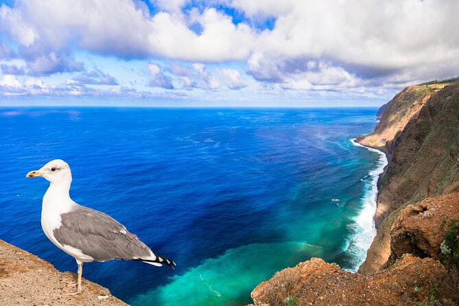 Jeep Safari in Southwest, Calheta and Ponta do Sol Full Day Tour - Price and Logistics: Does $77.44 Make Sense?
