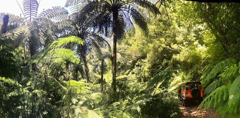 Jeep Tour Santana to East-Side - Key Things I Think You’ll Care About