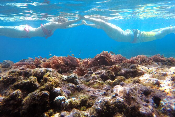 Kayak and Snorkeling Tour in Underwater Nature Reserve Garajau - Guides, Safety, and Small-Group Feel: Why It’s Not Just Equipment