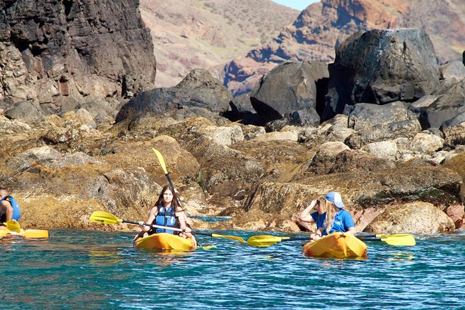 Kayak Experience @ Ponta de São Lourenço - Should you book this Madeira sea kayaking trip?