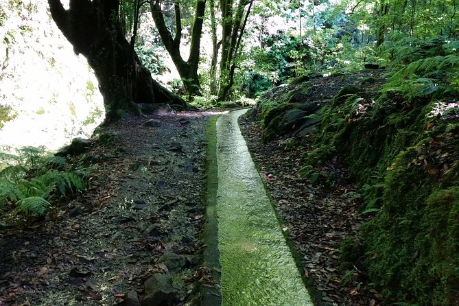 Kings Levada - São Jorge - Getting there without stress: the 8:30 am start and air-conditioned transport