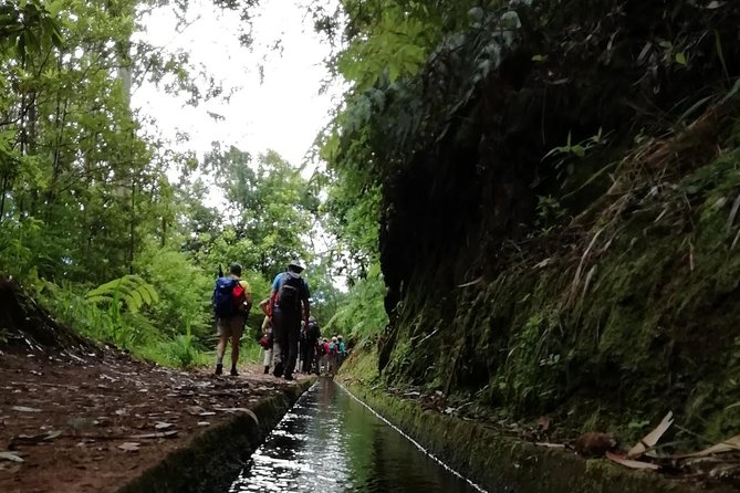 Kings Levada - São Jorge - Stops along the route: why the pacing feels right