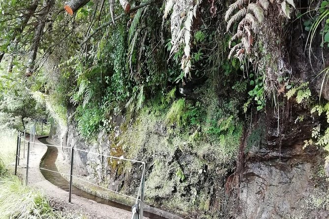 Kings Levada - São Jorge - Group size and pace: is this hike your kind of day?