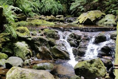 Kings Levada - São Jorge - Picnic lunch on the Levada: plan for comfort, not surprises