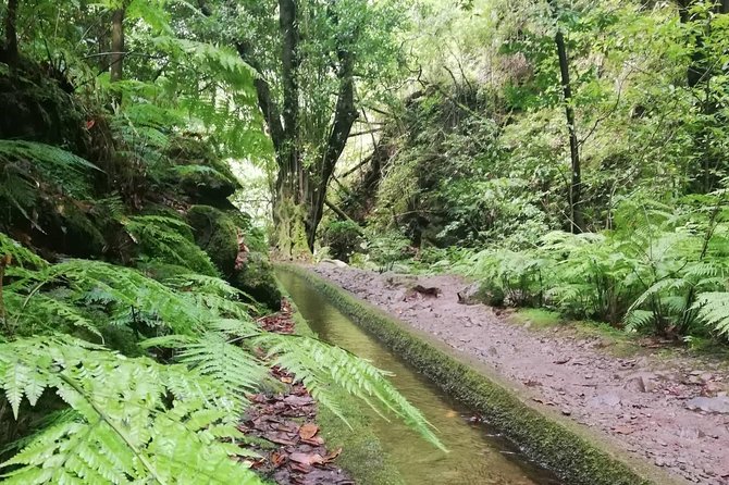 Kings Levada - São Jorge - Weather, rescheduling, and how to handle Madeira’s moods