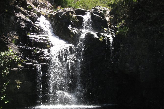 Lakes of Madeira- Alecrim Full day walk - Price and value: what $52.05 gets you in the real world