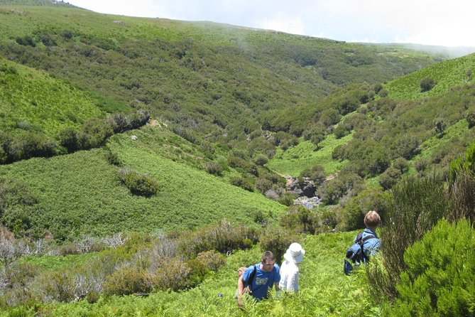 Lakes of Madeira- Alecrim Full day walk - Getting there smoothly: pickup zones and the 9:00 am start