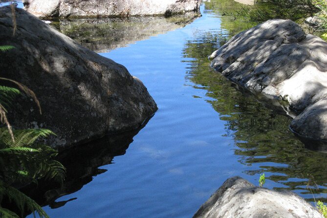 Lakes of Madeira- Alecrim Full day walk - Fitness reality check: steep bits, descents, and uneven roots