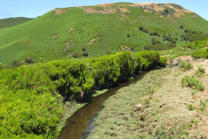Lakes of Madeira- Alecrim Full day walk - Your guide on the ground: what Margarita-style leadership changes