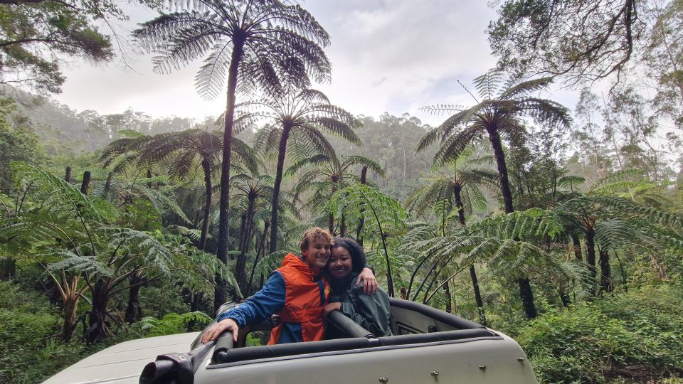 Let-Me-Surprise-You Madeira Full Day Private Tour - A Private Day That Starts With a Conversation, Not a Script