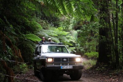 Let-Me-Surprise-You Madeira Full Day Private Tour - Madeira’s Microclimates: Why This Route Choice Really Matters