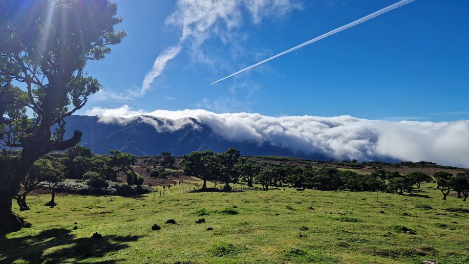 Let-Me-Surprise-You Madeira Full Day Private Tour - What You’ll Want to Bring (Because Madeira Won’t Ask Permission)