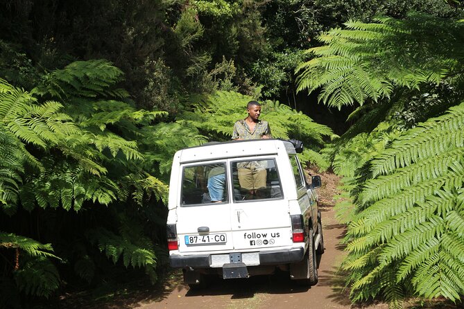 Let-Me-Surprise-You Private Full-Day Tour in All Terrain Vehicle - Volcanic Rock Pools, Waterfalls, and Rain-Forest Roads