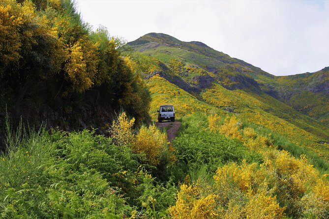 Let-Me-Surprise-You Private Full-Day Tour in All Terrain Vehicle - Poncha Breaks, Local Cider, and How Lunch Usually Works