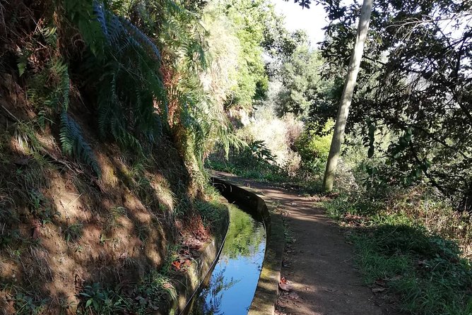 Levada da Referta - Castelejo - Levada da Referta – Castelejo: What You’ll Be Doing for Those 2 Hours