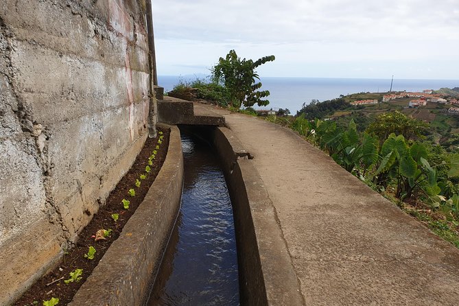 Levada da Referta - Castelejo - Your Guide Makes It: From Clear Directions to Laughs Along the Levado