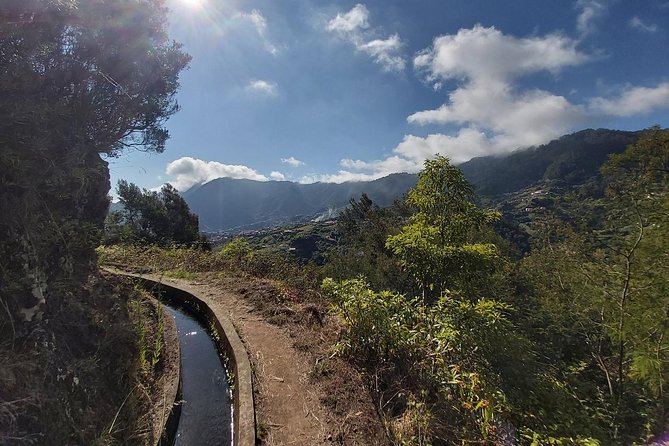Levada da Referta - Castelejo - Who This Tour Suits Best—and Who Might Prefer Something Else