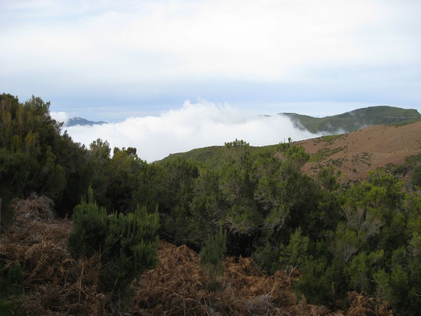 Levada do Alecrim (Madeira Lakes) Full-day walk - Getting to the western plateau: start points that make it easy
