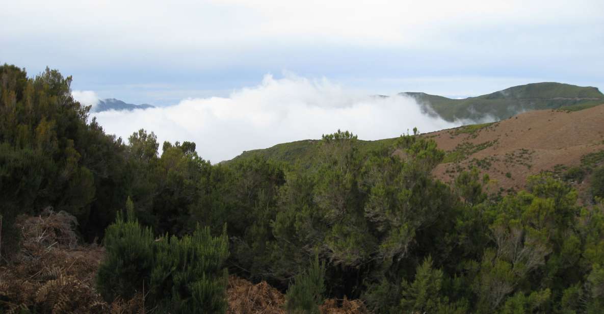 Levada do Alecrim (Madeira Lakes) Full-day walk - Walking the levadas of Levada do Alecrim: from flat paths to the oldest run