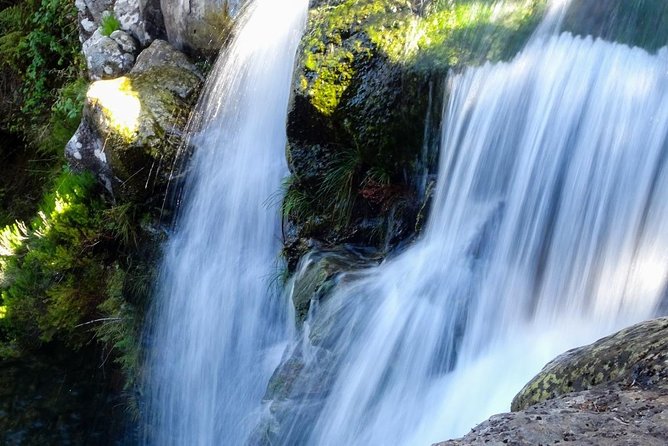 Levada do Alecrim - Rosemary Levada (Full Day Walk) - Quick hits you’ll care about