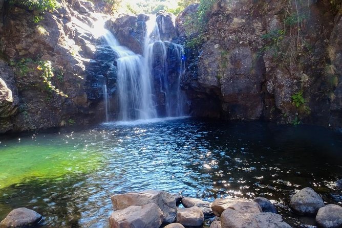Levada do Alecrim - Rosemary Levada (Full Day Walk) - Why a guided Rosemary Levada walk makes the day easier