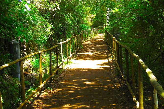 Levada do Caldeirão Verde Levada Walk from Funchal - Levada do Caldeirão Verde: what you’re really signing up for