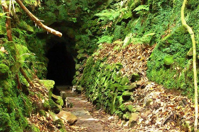 Levada do Caldeirão Verde Levada Walk from Funchal - Price and value: why $51.66 can make sense