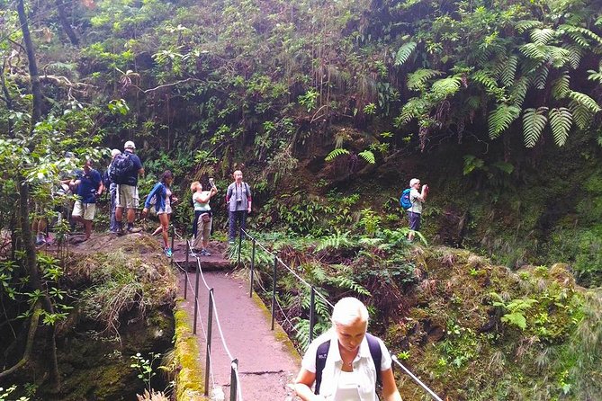Levada do Caldeirão Verde Levada Walk from Funchal - The tunnel factor: flashlight and head protection are not “nice to have”