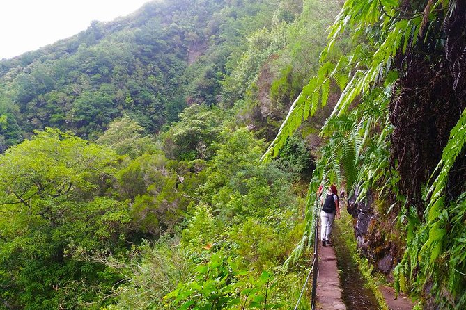 Levada do Caldeirão Verde Levada Walk from Funchal - Reaching Caldeirão Verde: the lagoon, the cold water, and your picnic pause