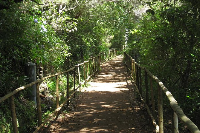 Levada do Caldeirão Verde Levada Walk from Funchal - The heart of the hike: Queimadas, levada life, and constant water