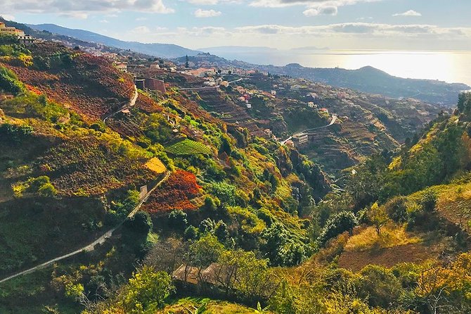Levada do Norte - Walking Tour - Key things to know before you go