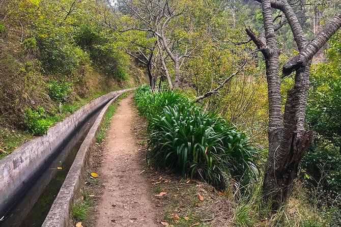 Levada do Norte - Walking Tour - How long it takes: what 2 hours 15 minutes feels like in real time