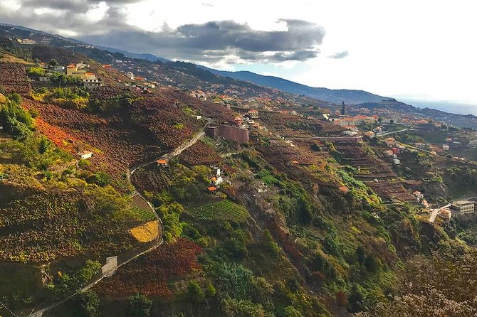 Levada do Norte - Walking Tour - Included comforts: air-conditioned transport and trail access