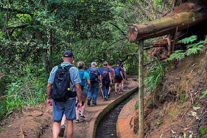 Levada do Rei (PR18) - Through Madeira's Majestic Laurissilva - Pickup and logistics in Funchal (and why it’s a big deal)