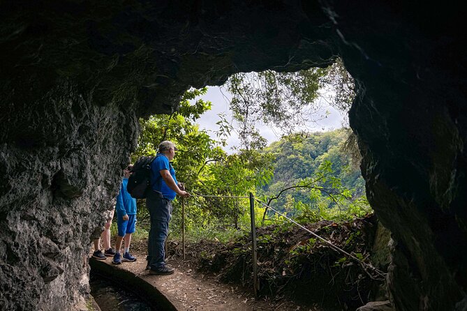Levada do Rei (PR18) - Through Madeira's Majestic Laurissilva - Price and value: how $52.85 stacks up for a small-group forest day
