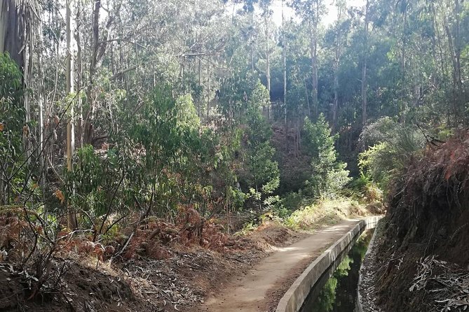 Levada Serra D´Agua - Key Things You’ll Notice Right Away