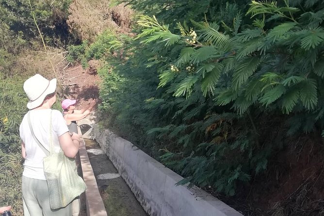 Levada Serra D´Agua - Price and Value: What You Get for Around $42