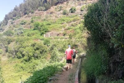 Levada Serra D´Agua - Eucalyptus Forest Stretch: Let the Guide Handle the Way-Finding