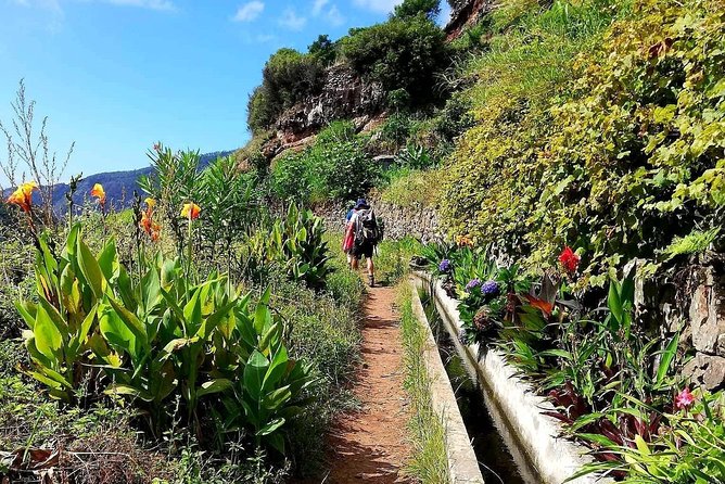 Levada Serra D´Agua - What to Expect From the Photos (and Where the Best Moments Happen)
